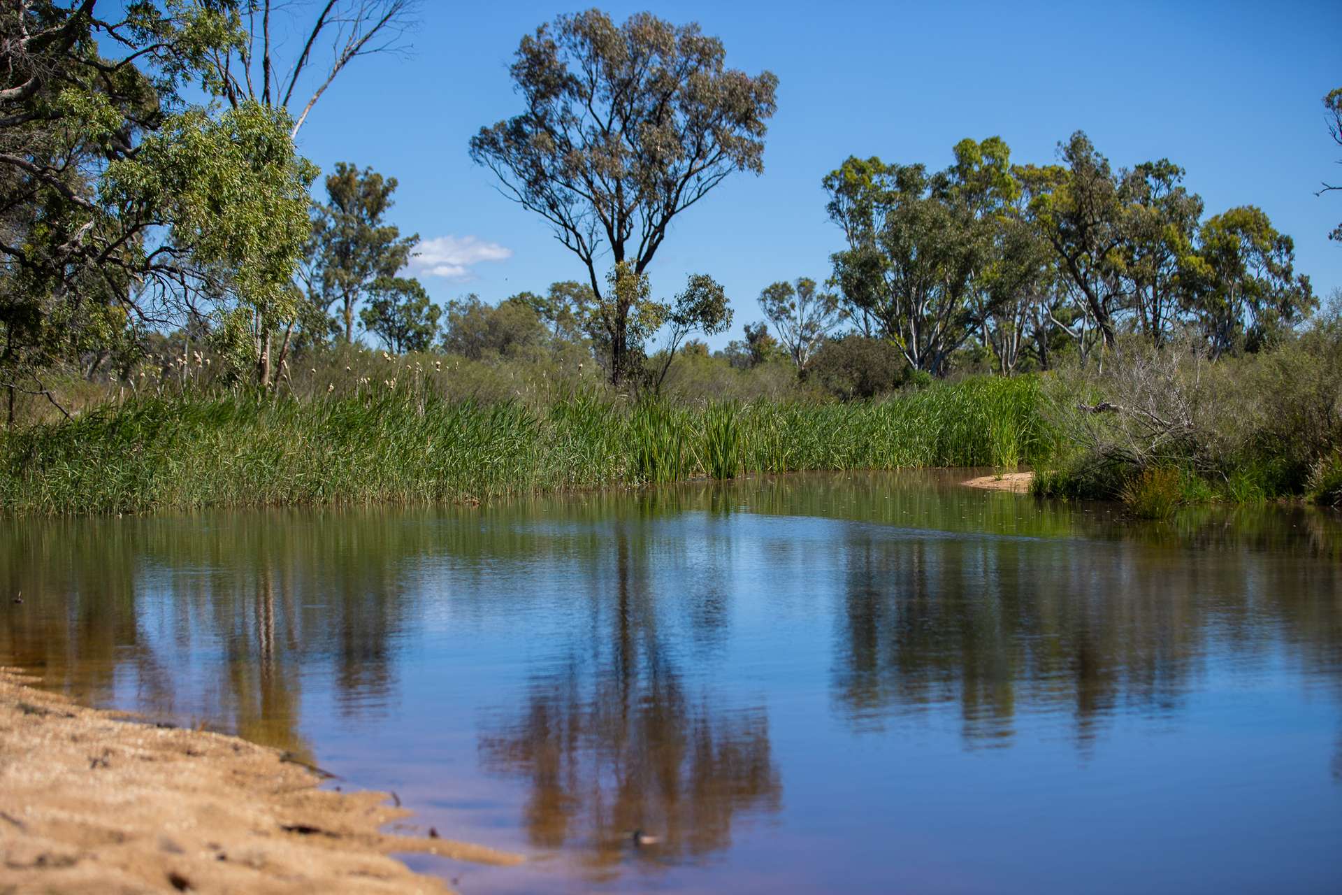 Inverell For Sale by Farmbuy.com - image 25