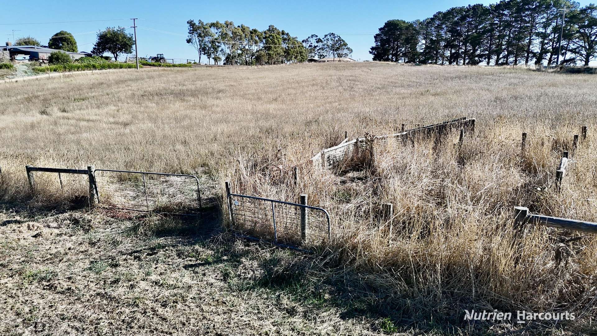 Allotment 18 Merino- Grassdale Road, Merino For Sale by Farmbuy.com - image 8