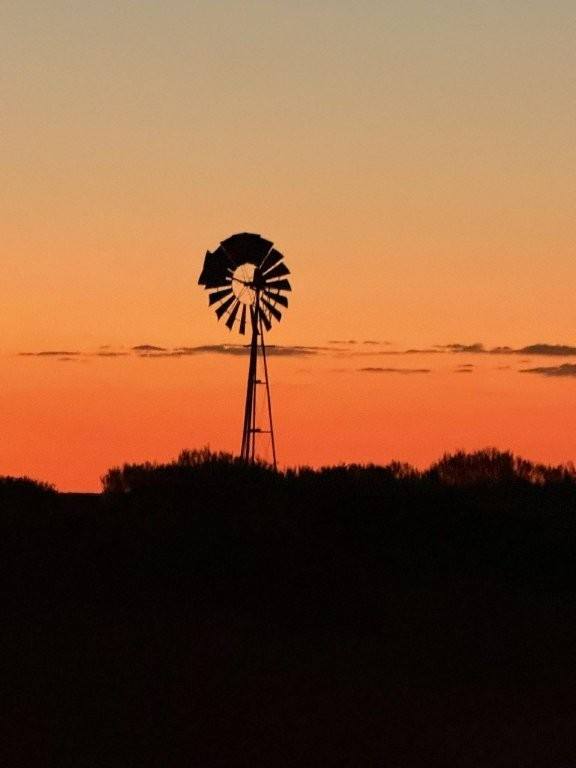 Wongawol, Wiluna For Sale by Farmbuy.com - image 28