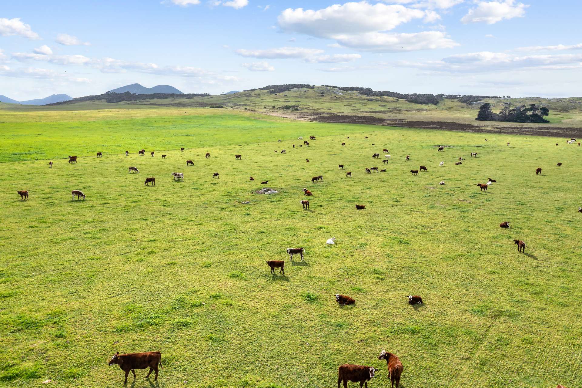 392 Lady Barron Road, Ranga For Sale by Farmbuy.com - image 2