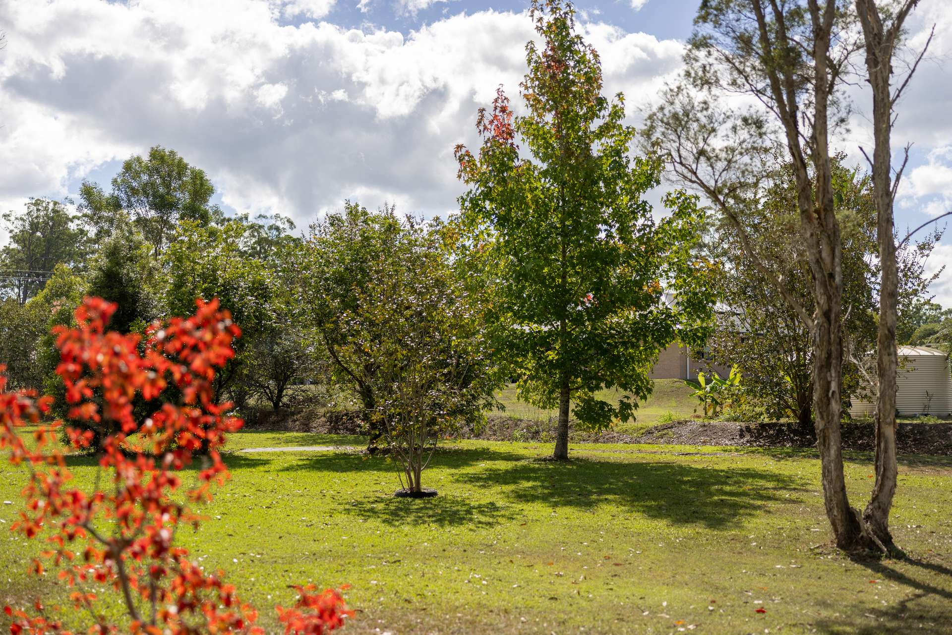60 Iluka Circuit, Taree Auction by Farmbuy.com - image 1