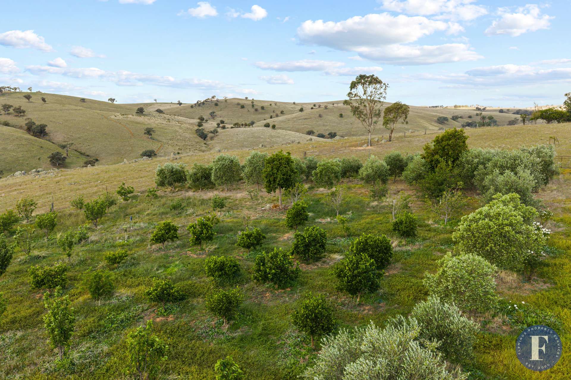 438 Ironbark Lane, Boorowa For Sale by Farmbuy.com - image 17