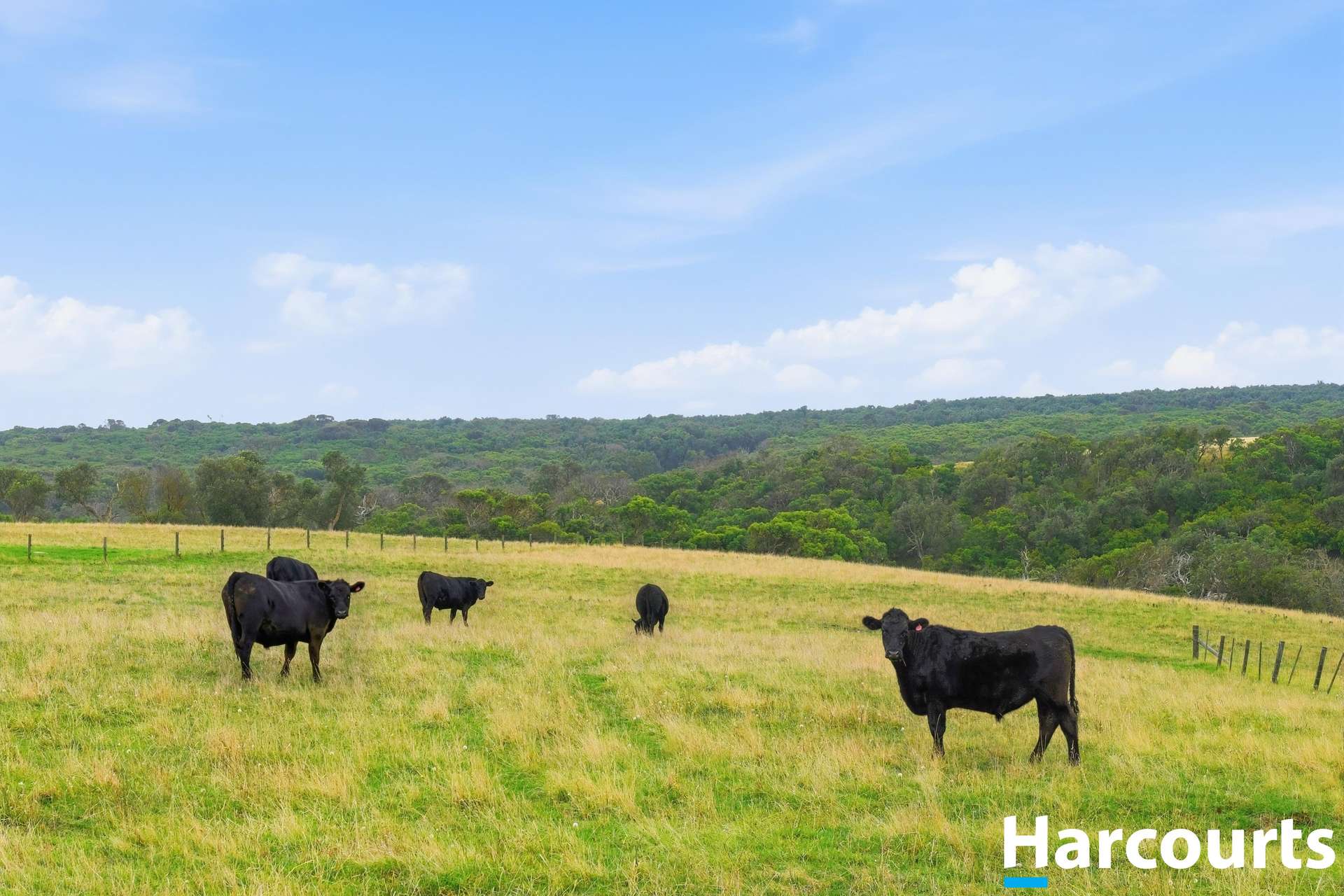 80 Munbilla Road, Tarwin Lower For Sale by Farmbuy.com - image 32