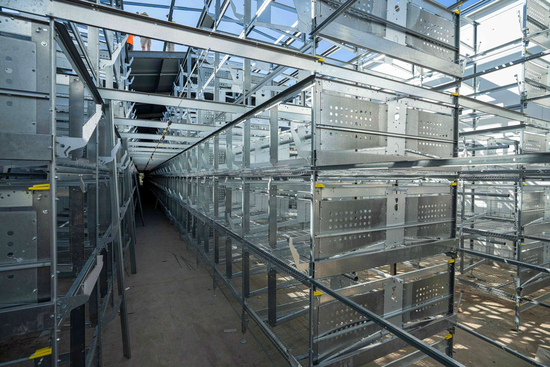 Gumlow For Sale by Farmbuy.com - image 9