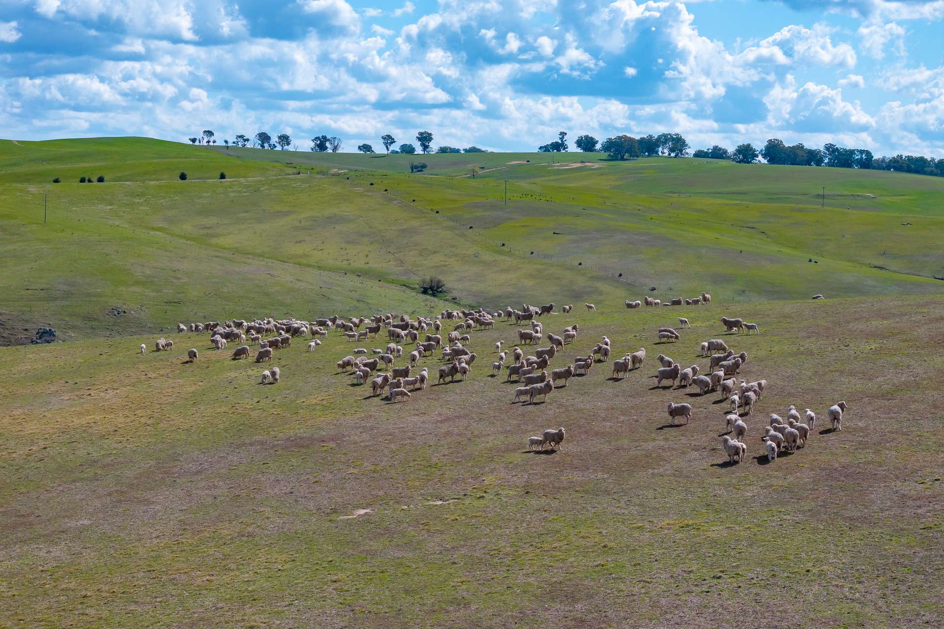 1185 Golspie Road, Laggan For Sale by Farmbuy.com - image 9
