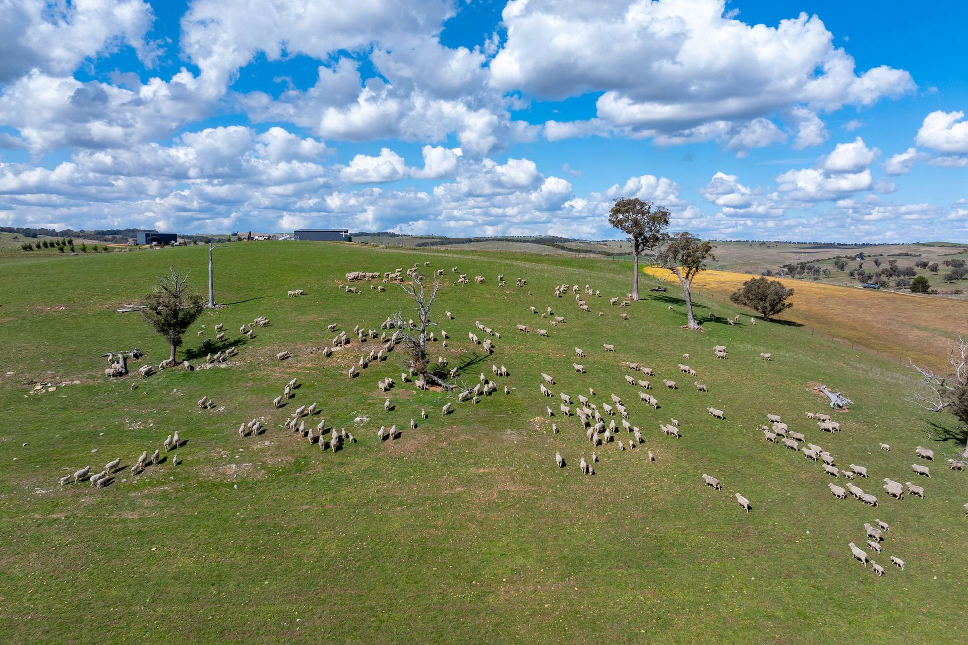 Lot 271, 1185 Golspie Road, Laggan For Sale by Farmbuy.com - image 8