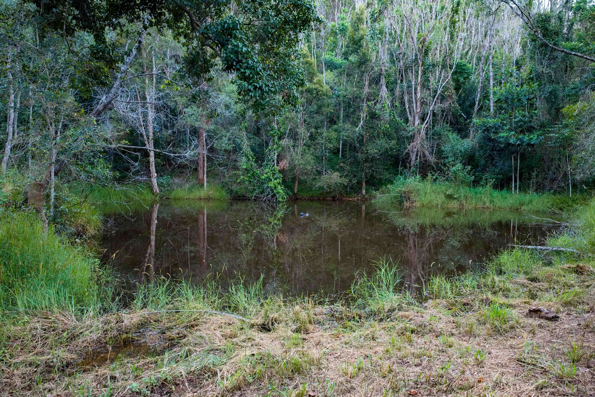 15 Phillips Road, Ross Creek For Sale by Farmbuy.com - image 22