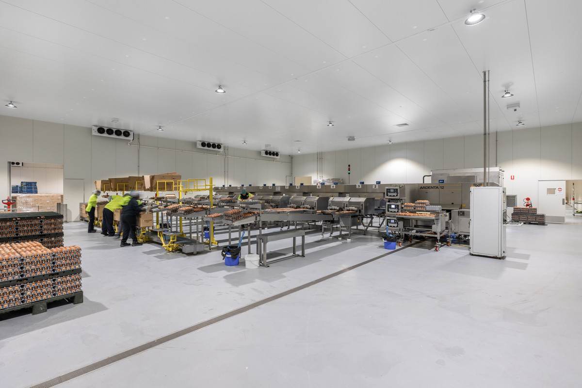 2 Foundation Street, Wellcamp Sold by Farmbuy.com - image 6