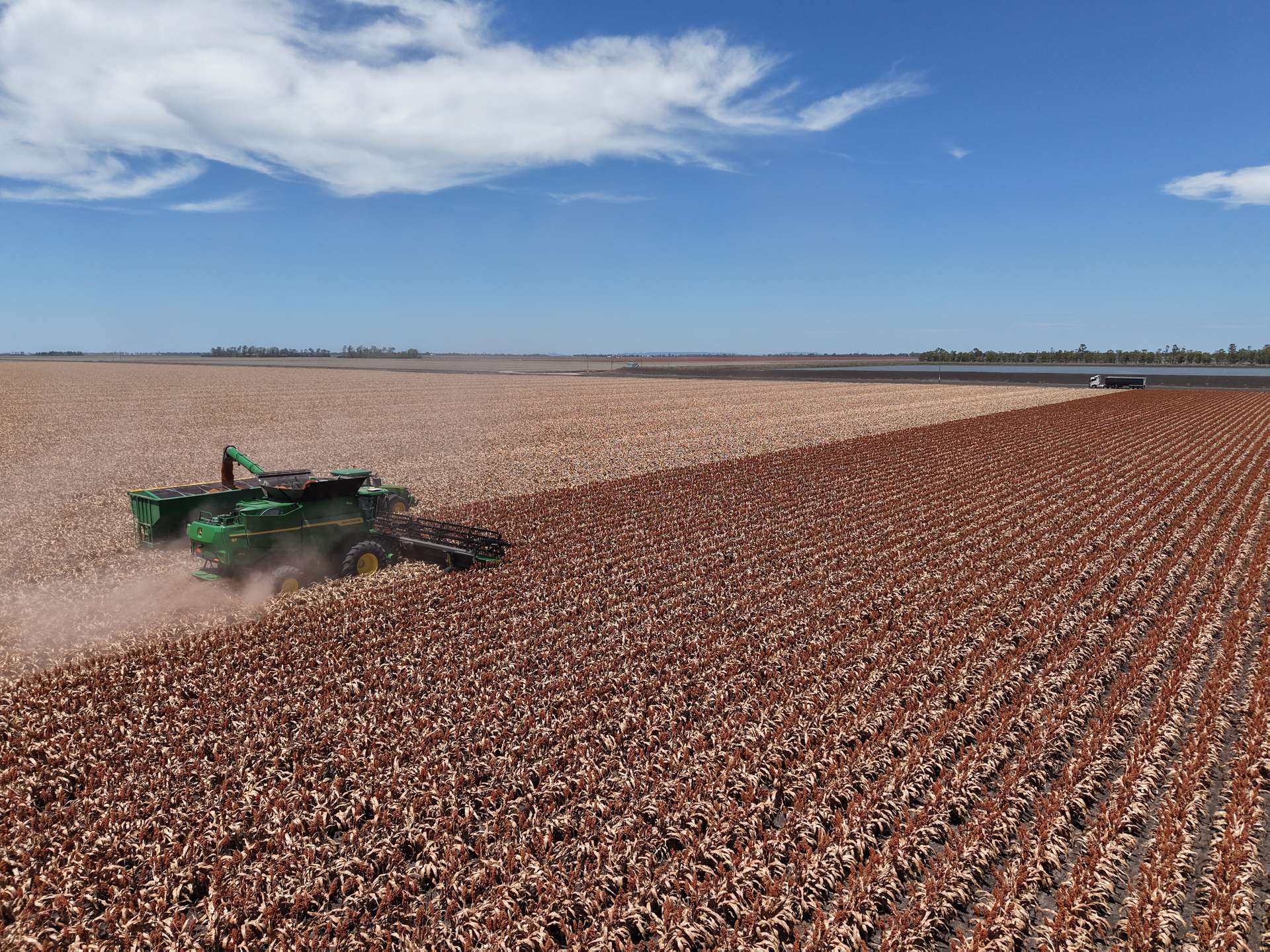 0 Brookstead Norwin Road, Brookstead For Sale by Farmbuy.com - image 13