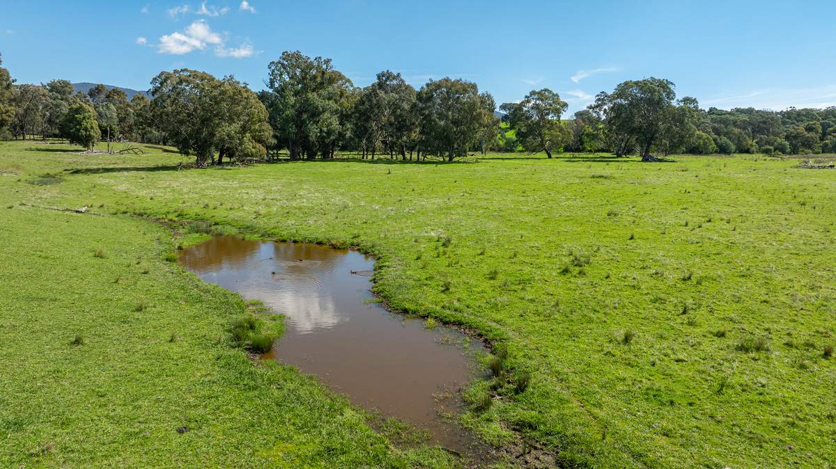 1007 & 1007A Kiewa Valley Highway, Staghorn Flat For Sale by Farmbuy.com - image 11
