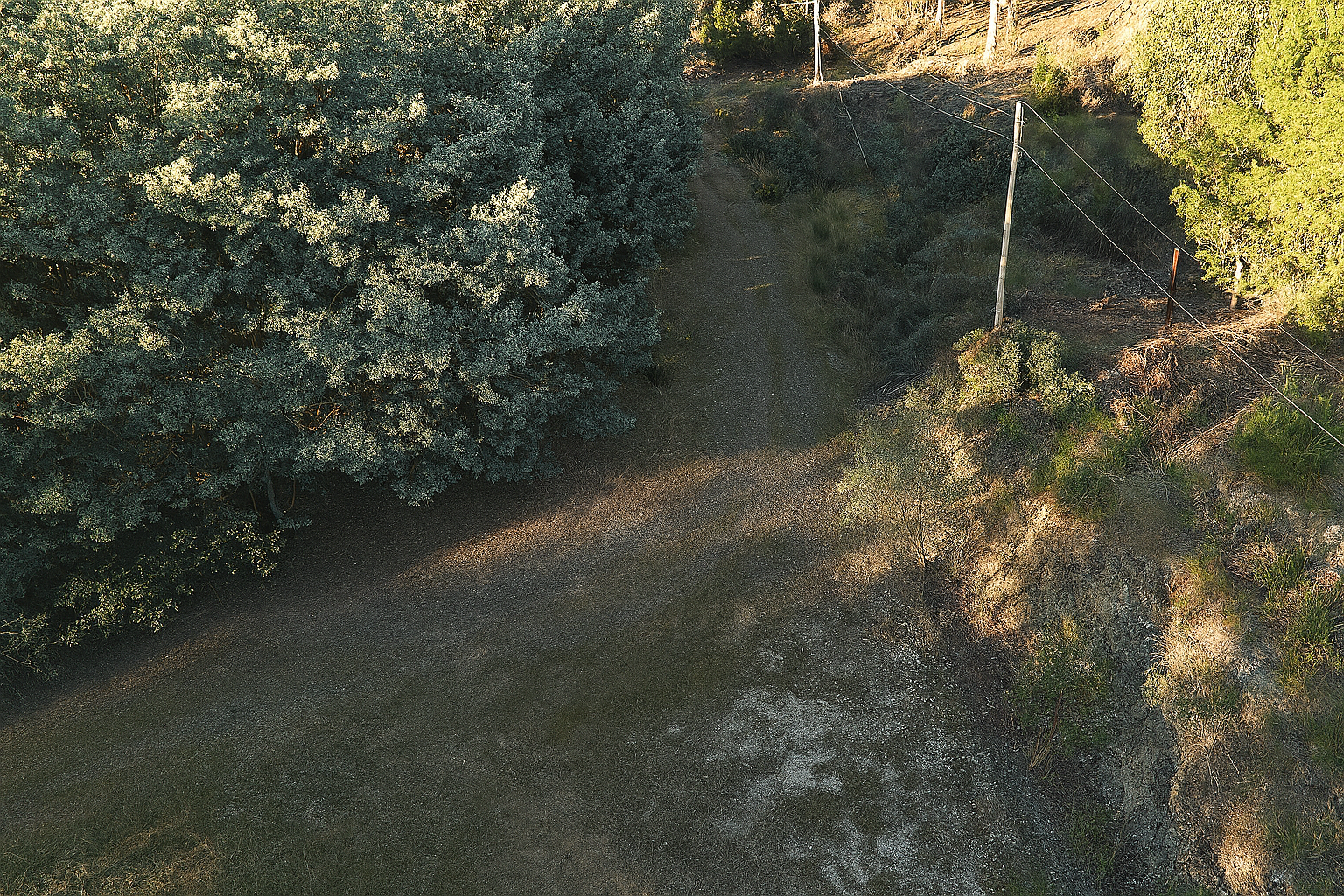 166 Kerrisons Road, Holwell For Sale by Farmbuy.com - image 17