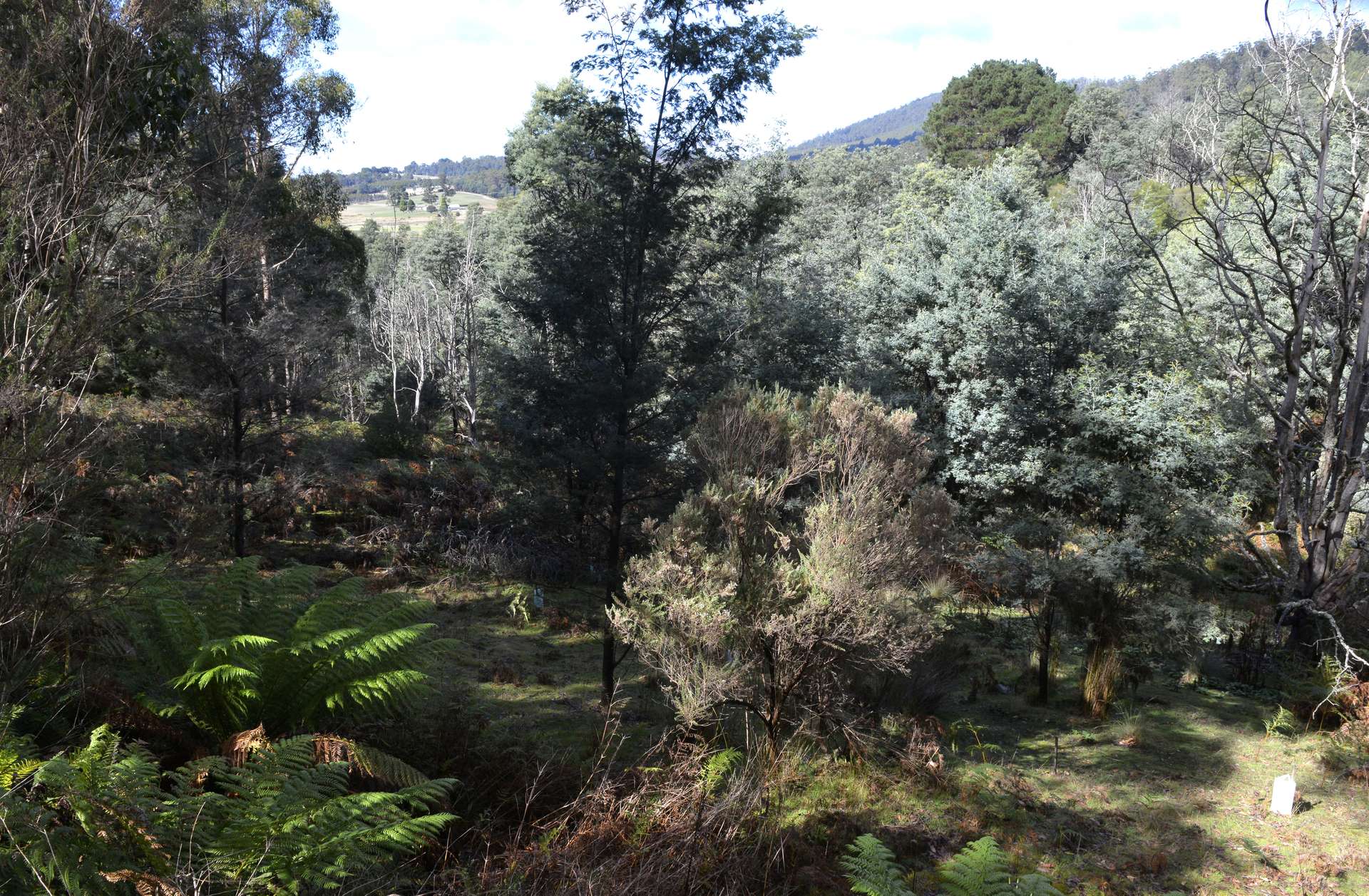 166 Kerrisons Road, Holwell For Sale by Farmbuy.com - image 6