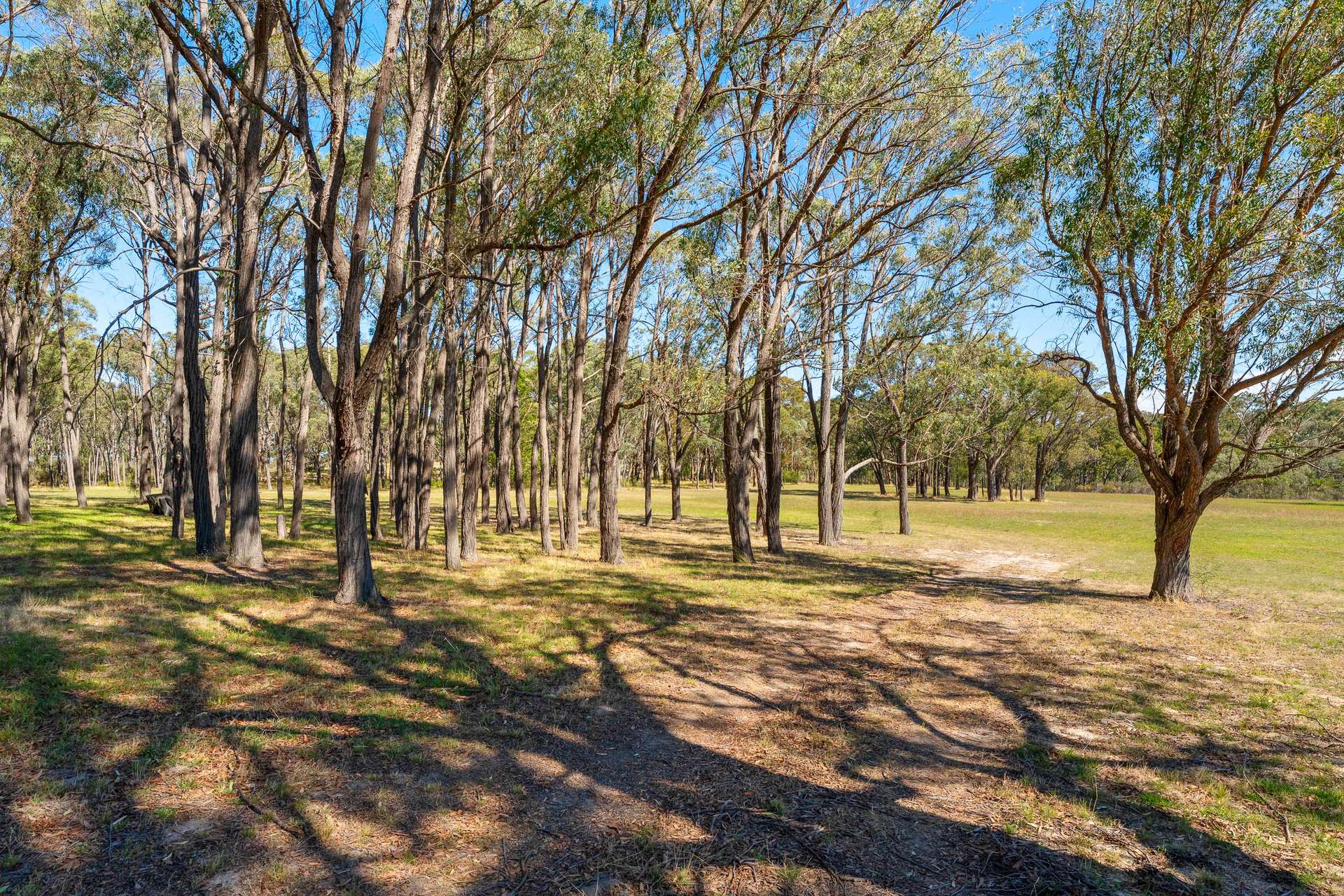 453 Reids Flat Road Bigga Via, Crookwell For Sale by Farmbuy.com - image 12
