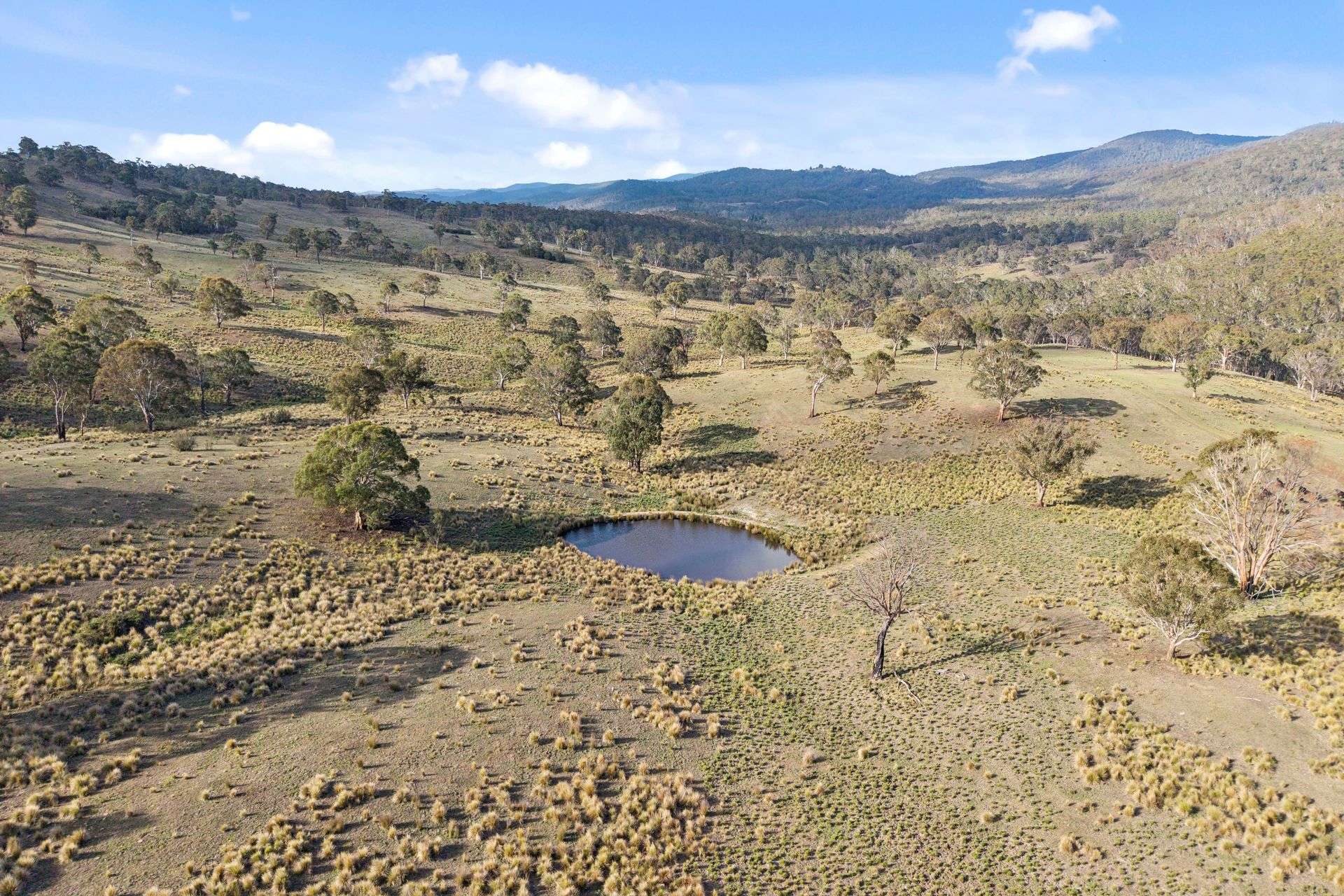 507 Harolds Cross Road, Braidwood For Sale by Farmbuy.com - image 29