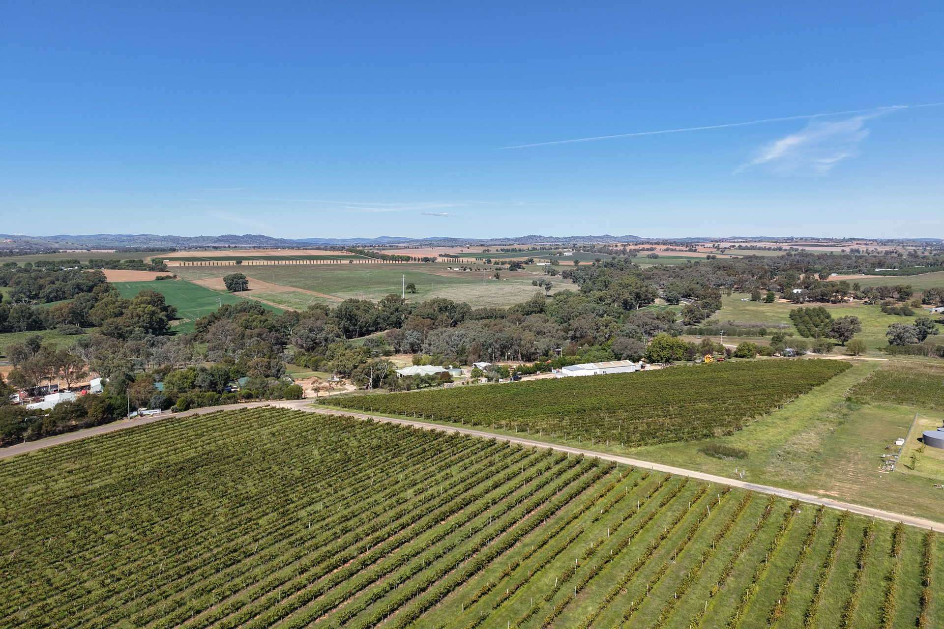 Lot 10 Chardonnay Lane, Cowra For Sale by Farmbuy.com - image 12