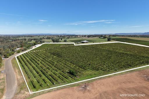 Farm For Sale - NSW - Cowra - 2794 - Scenic Lifestyle Block with Vineyard Outlook – Build Your Dream Home