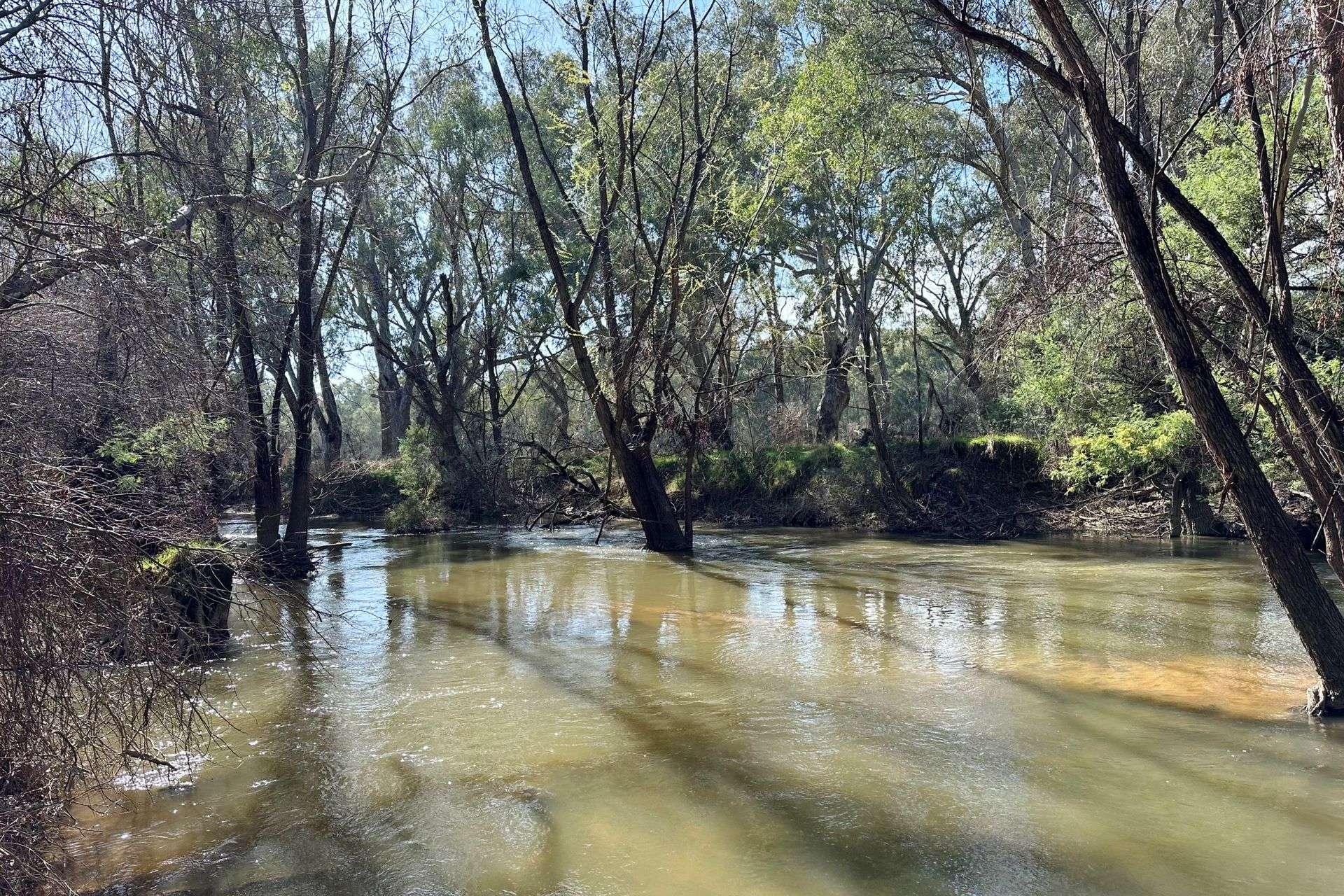 1613 Wangaratta Whitfield Road, Docker For Sale by Farmbuy.com - image 17