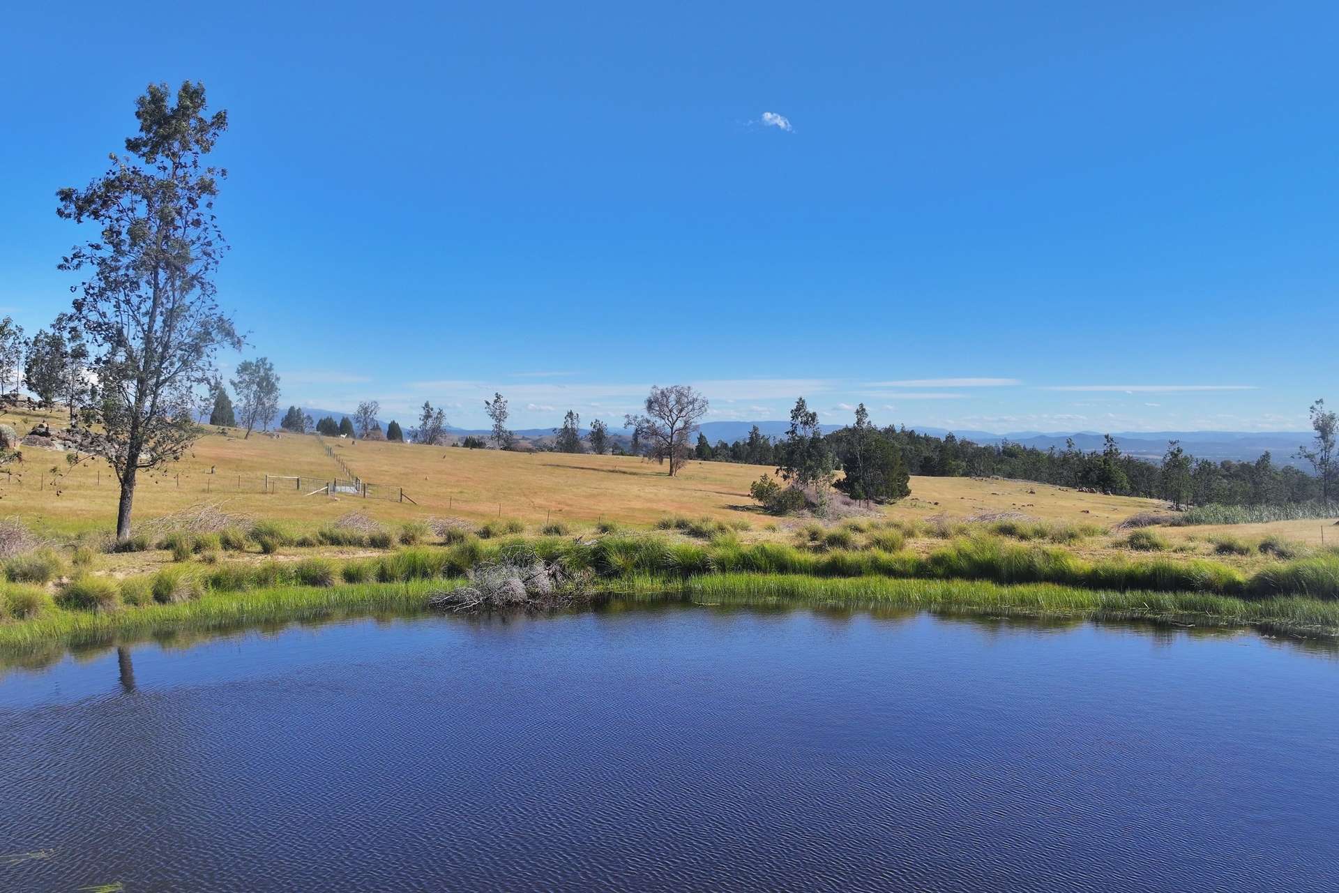 462 Masons Road, Everton Upper For Sale by Farmbuy.com - image 7