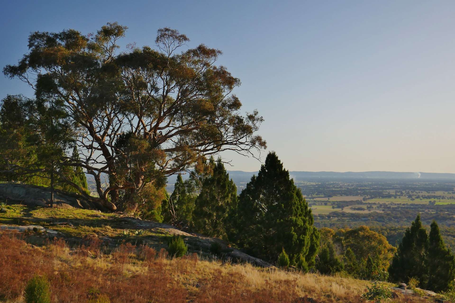 462 Masons Road, Everton Upper For Sale by Farmbuy.com - image 16