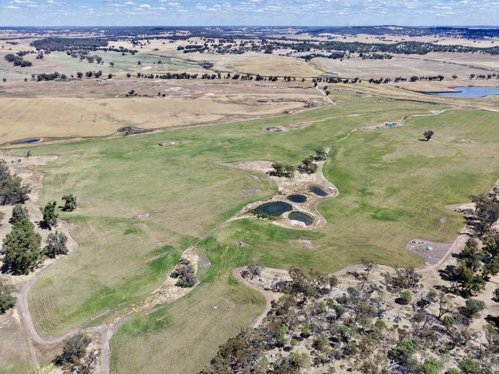 Butchers Road, Dale For Sale by Farmbuy.com - image 12