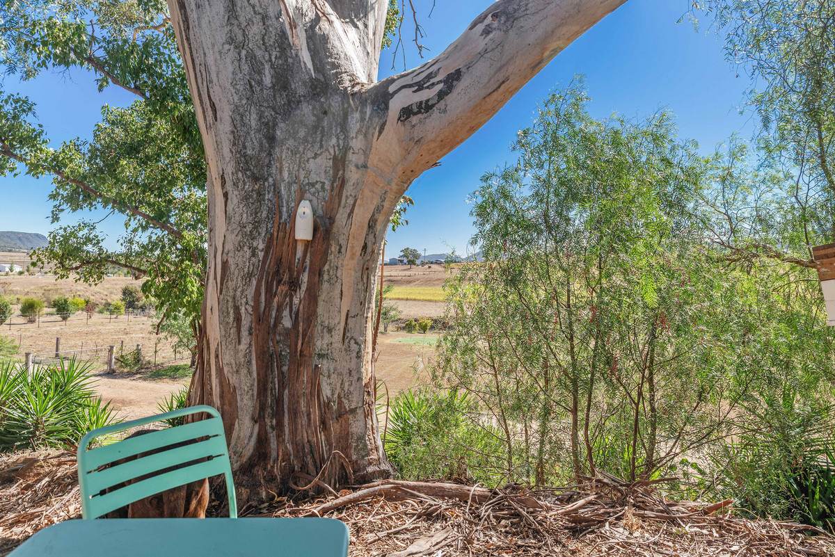 1A Coxen Street, Maryvale For Sale by Farmbuy.com - image 19