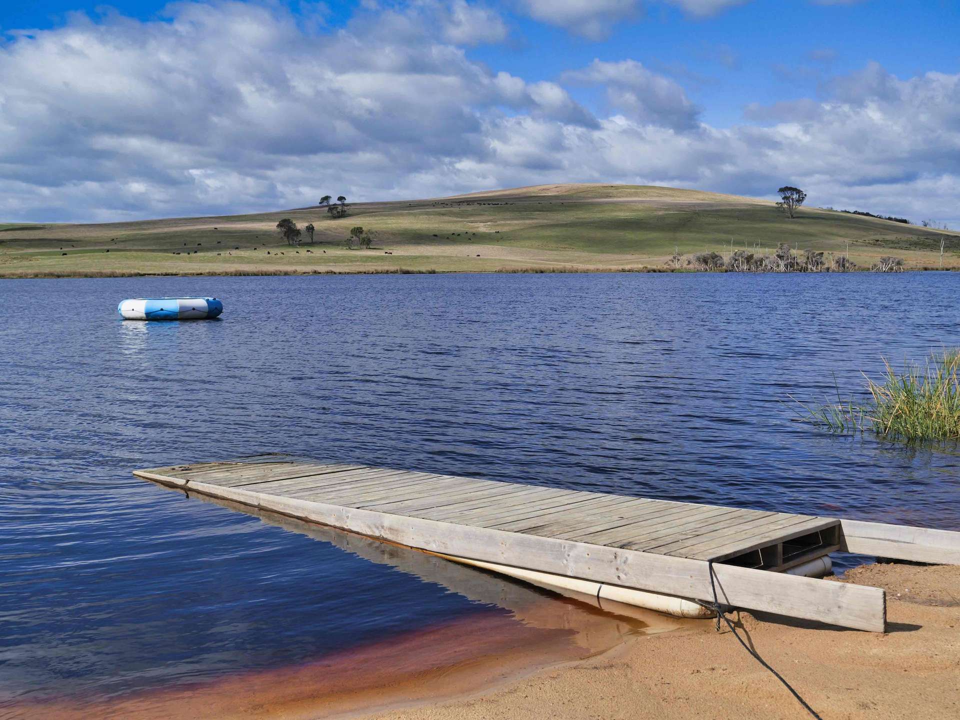 985 Ferny Hill Road, Bridport For Sale by Farmbuy.com - image 4