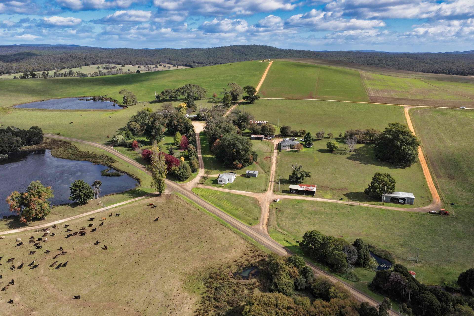 985 Ferny Hill Road, Bridport For Sale by Farmbuy.com - image 1