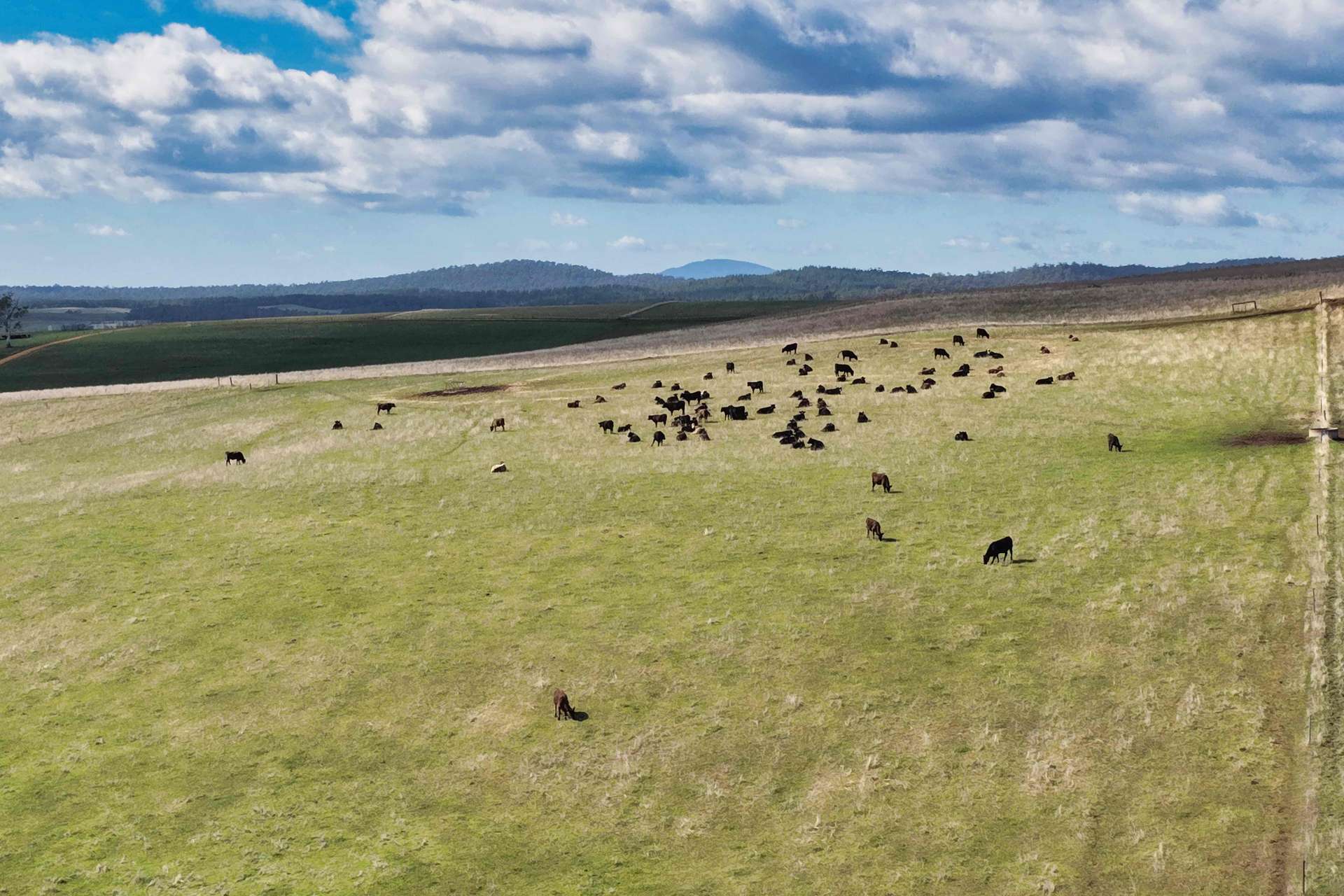 985 Ferny Hill Road, Bridport For Sale by Farmbuy.com - image 7