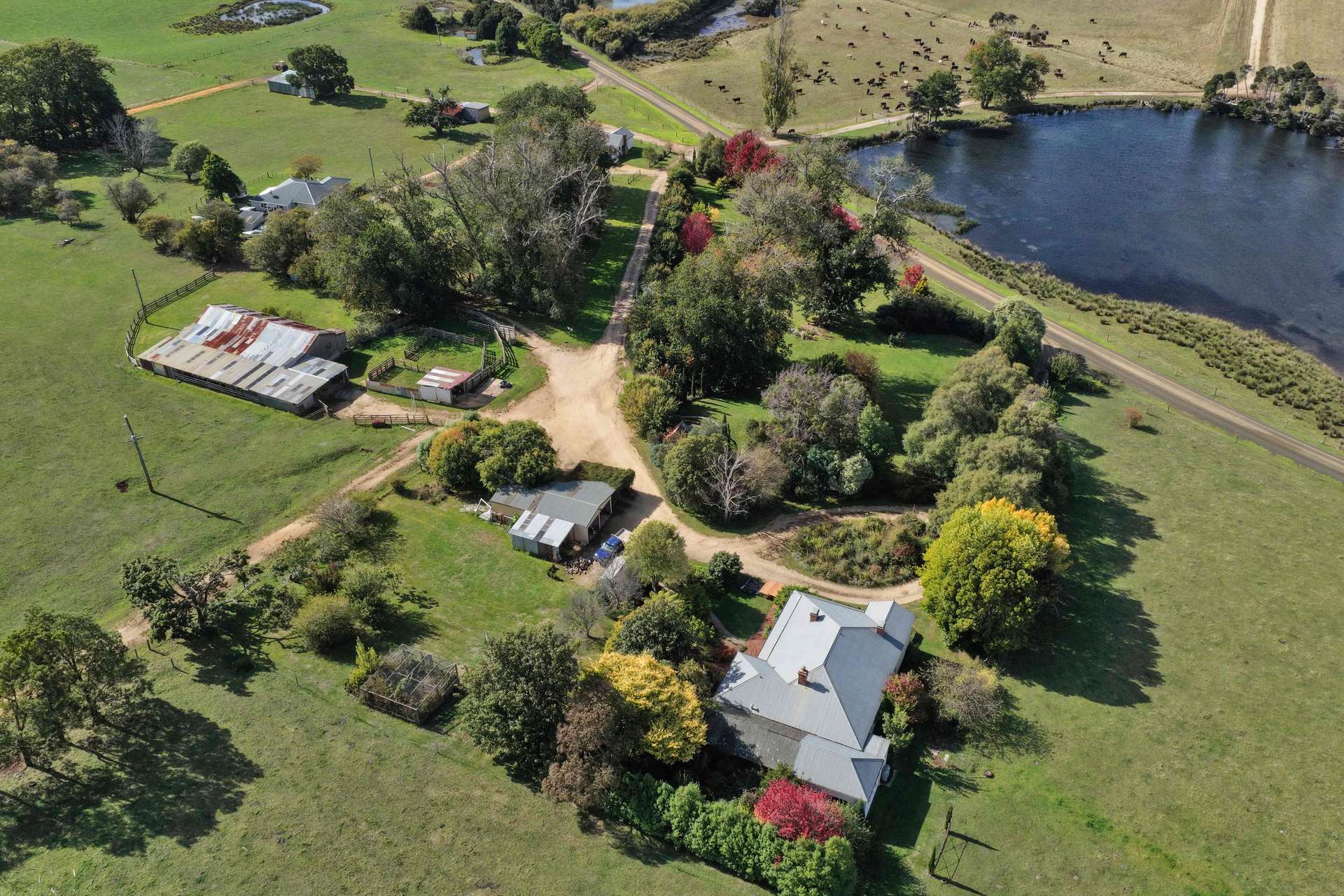 985 Ferny Hill Road, Bridport For Sale by Farmbuy.com - image 13