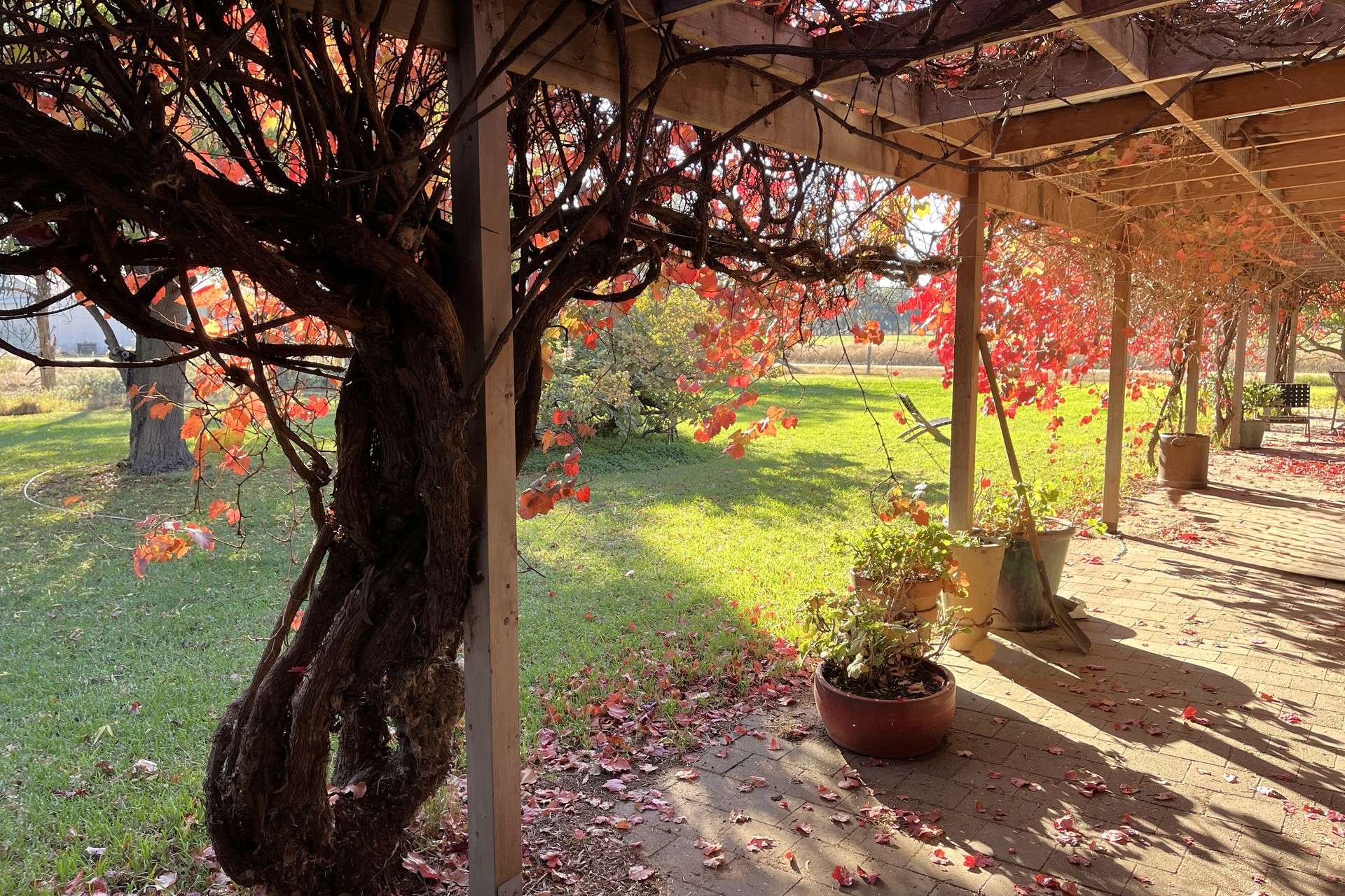 520 Mayrung Road, Finley For Sale by Farmbuy.com - image 25