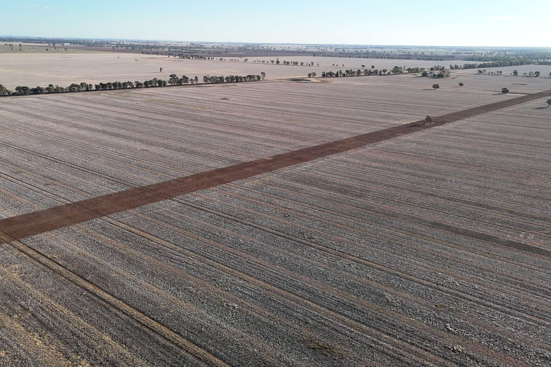 Mid Western Highway, Quandialla For Sale by Farmbuy.com - image 4