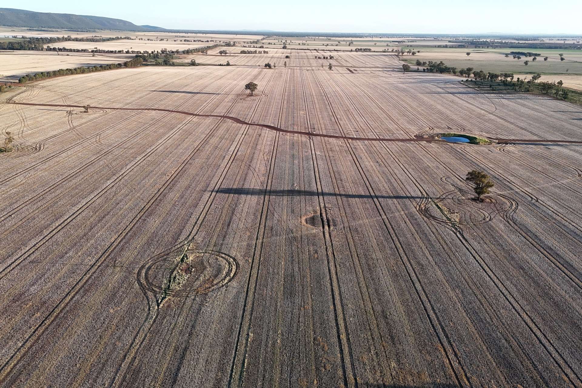 Mid Western Highway, Quandialla For Sale by Farmbuy.com - image 10