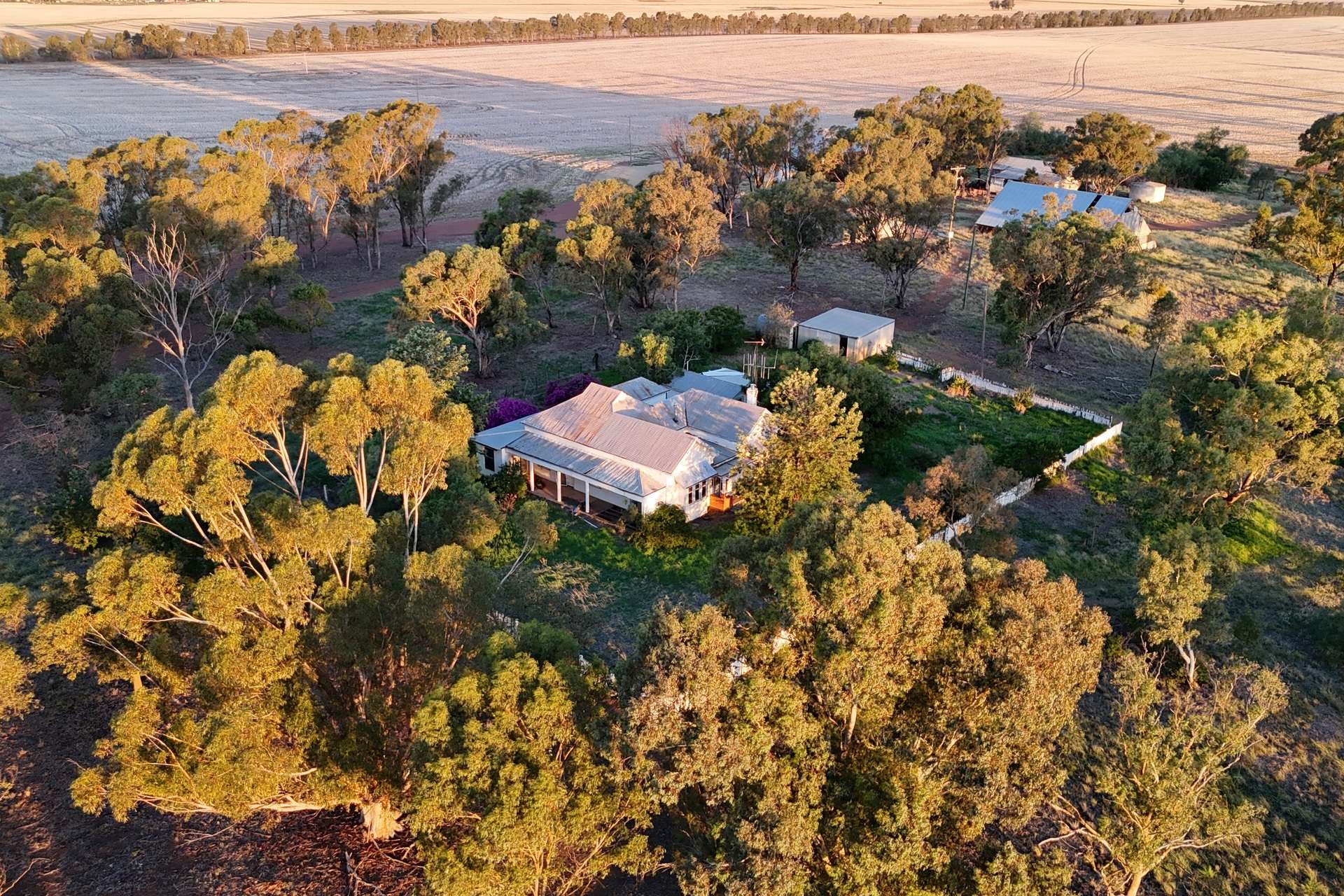 Mid Western Highway, Quandialla For Sale by Farmbuy.com - image 14
