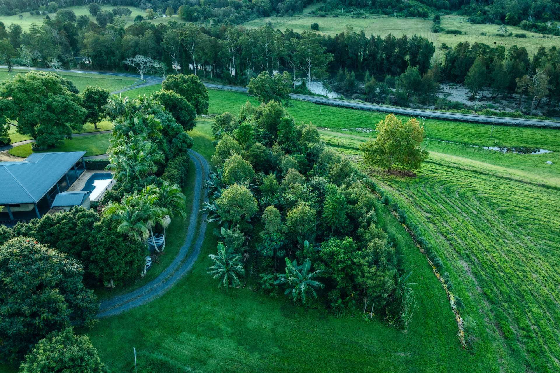 2165 Waterfall Way, Thora Auction by Farmbuy.com - image 30