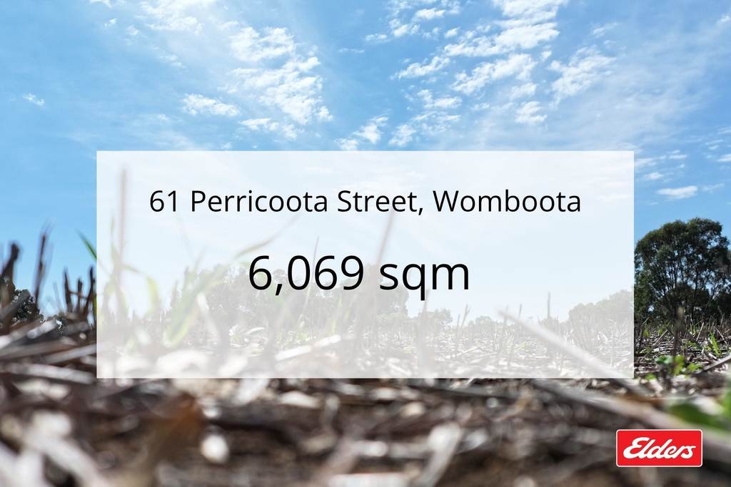 61 Perricoota Street, Womboota NSW 2731
