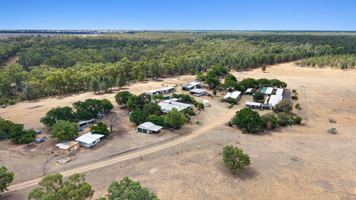 9834 Newell Highway, Narrabri For Sale by Farmbuy.com - image 20