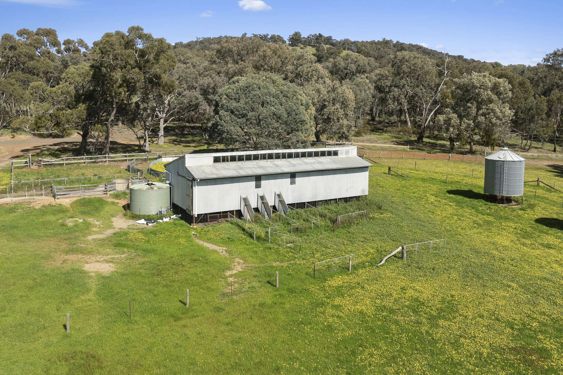 501 Knight Road, Benalla For Sale by Farmbuy.com - image 8