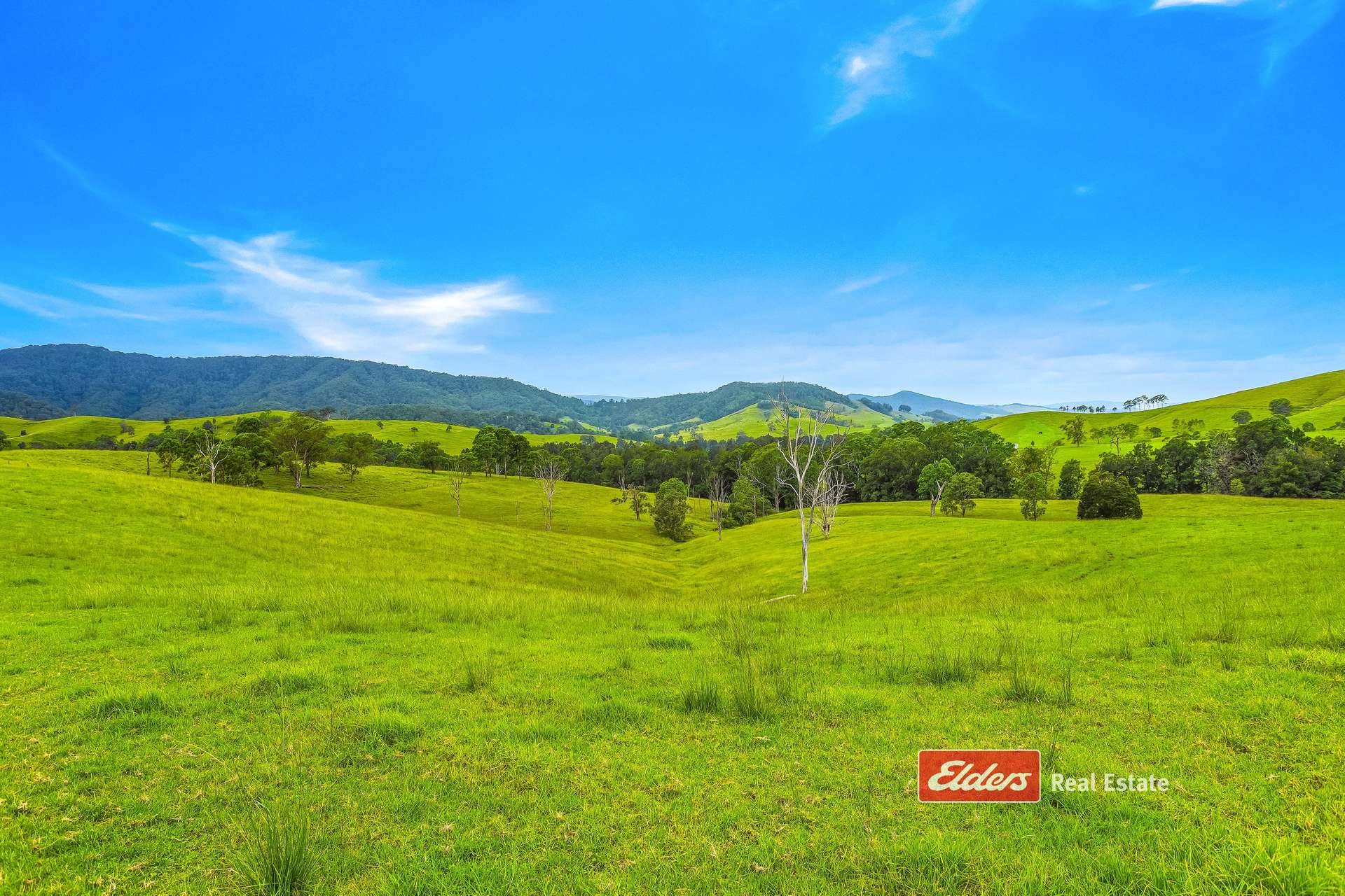 2121 Salisbury Road, Salisbury Via, Dungog For Sale by Farmbuy.com - image 4