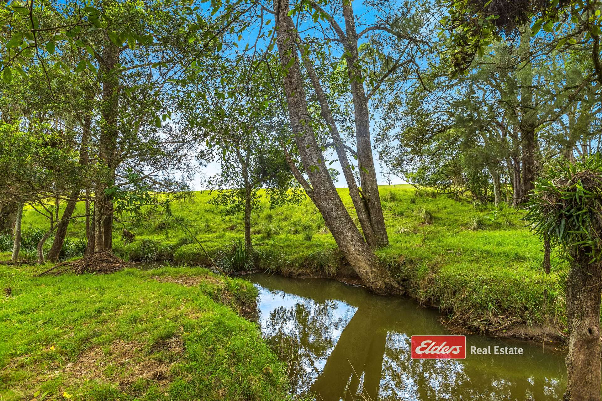 2121 Salisbury Road, Salisbury Via, Dungog For Sale by Farmbuy.com - image 8