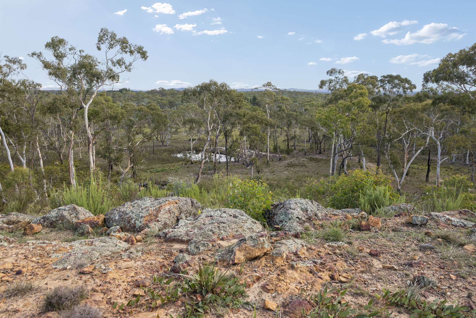 328 Wolgon Rd, Windellama Auction by Farmbuy.com - image 4