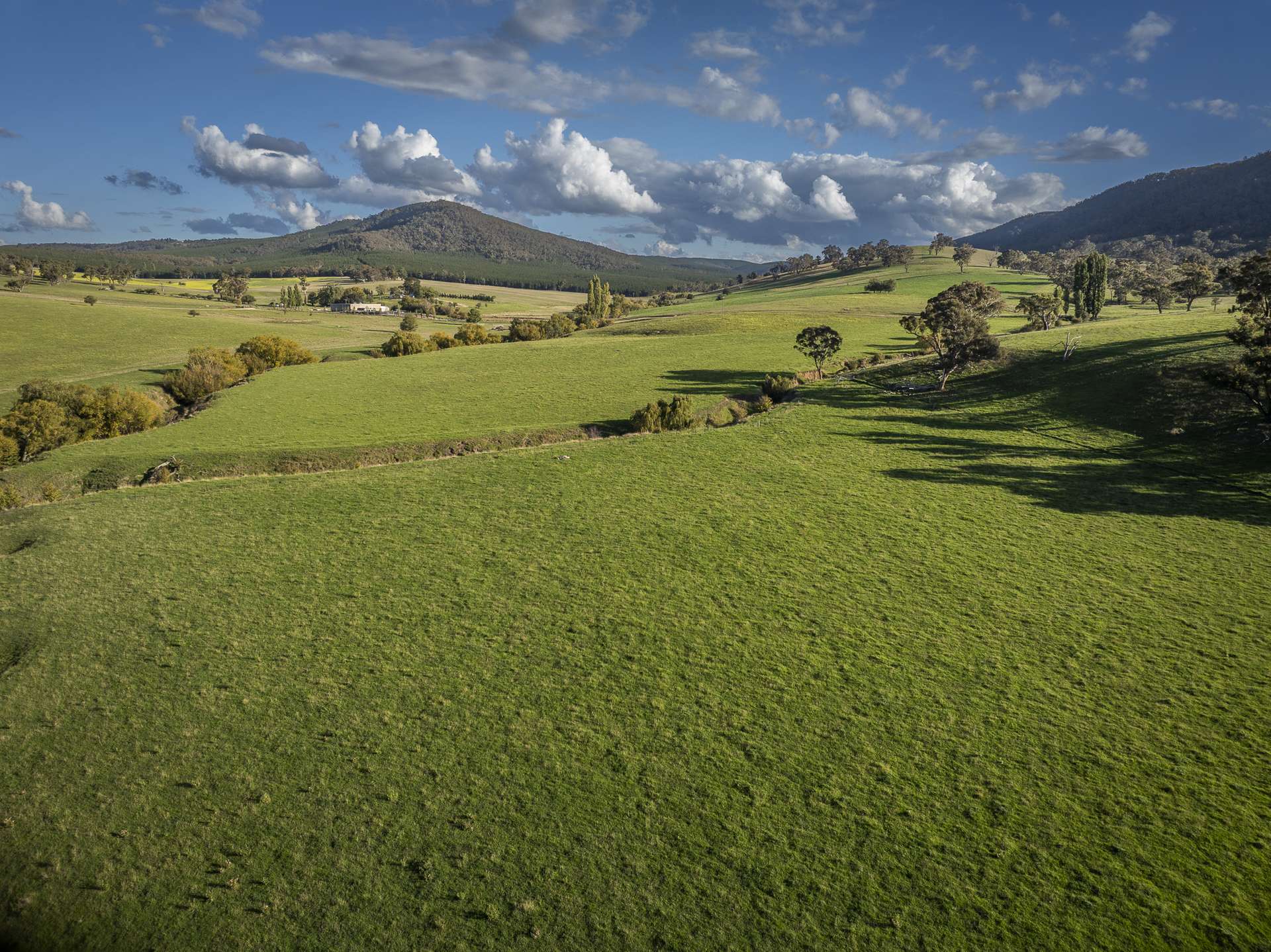 Tarana Auction by Farmbuy.com - image 24