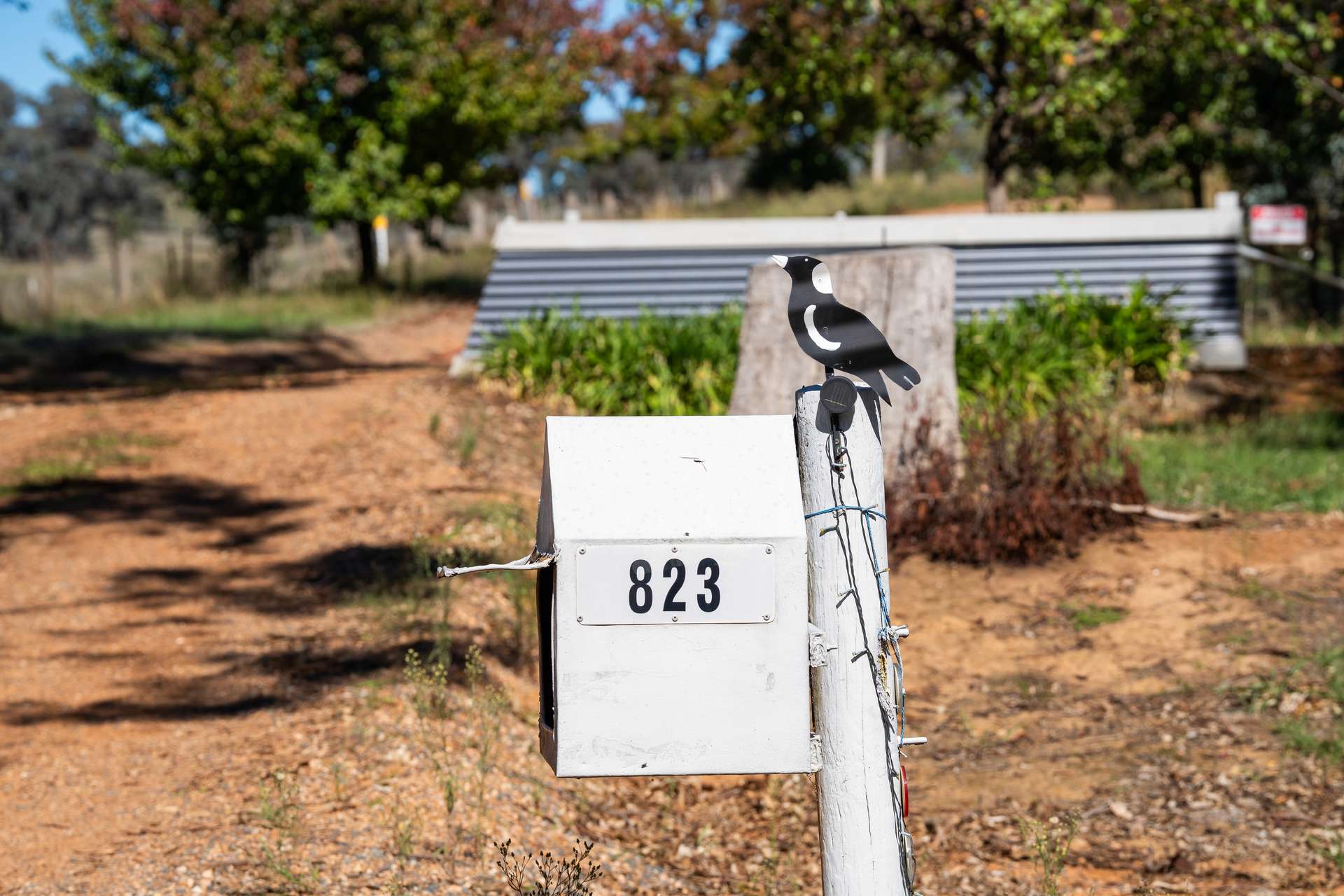 823 Woomargama Way, Woomargama Auction by Farmbuy.com - image 2