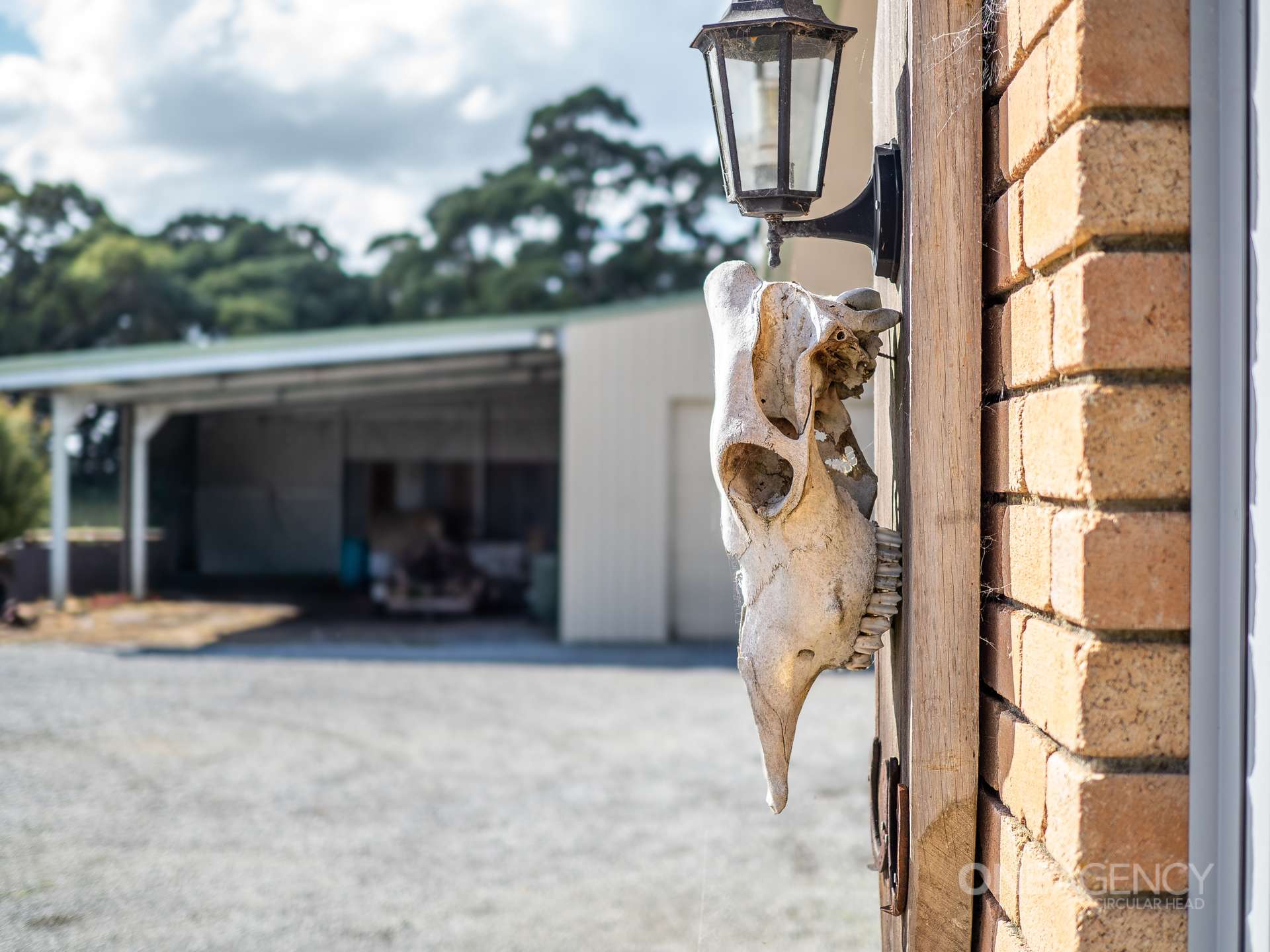 48 Leesville Road, Smithton For Sale by Farmbuy.com - image 8