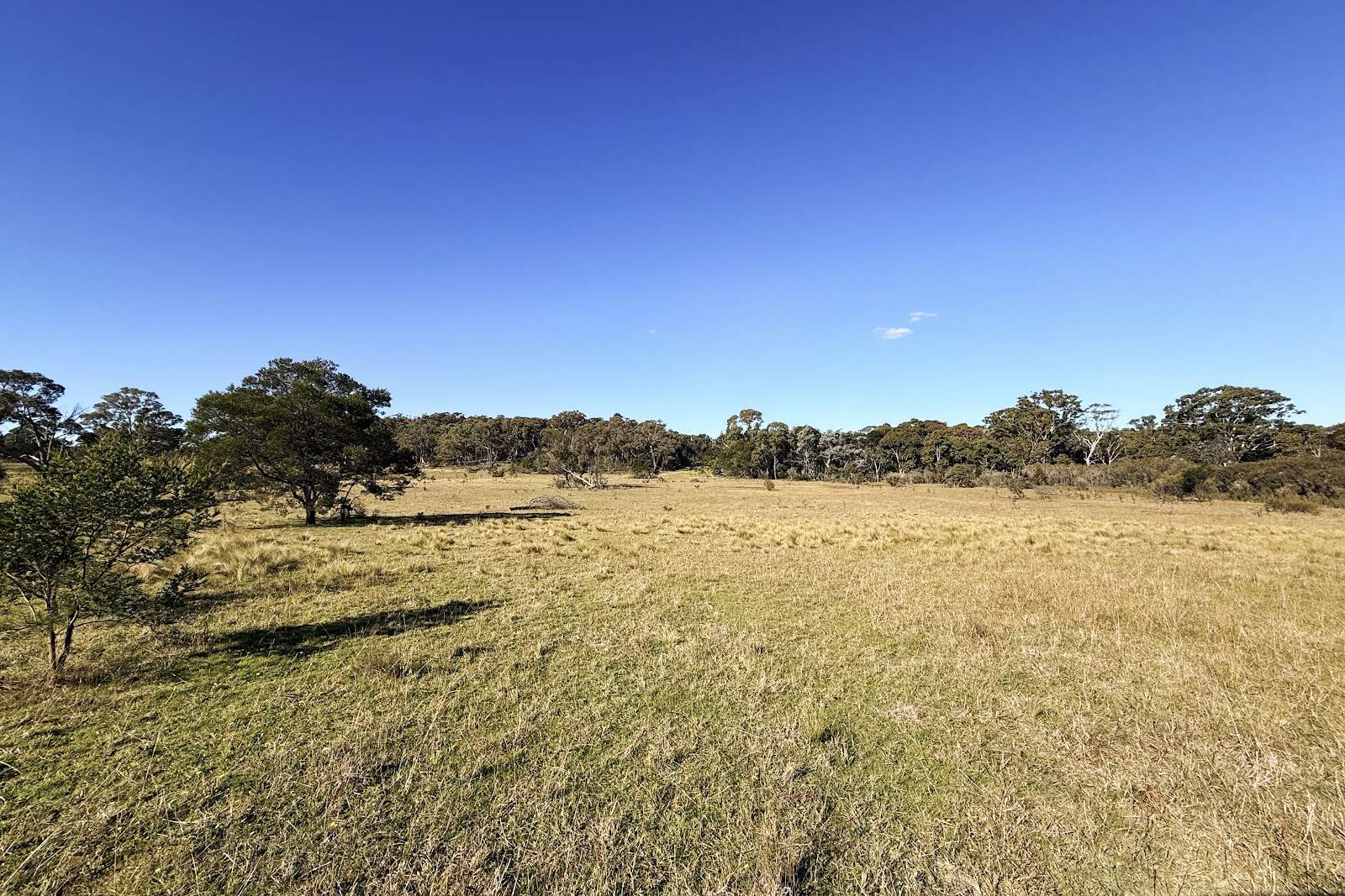 209/868 Jerrara Road, Marulan For Sale by Farmbuy.com - image 1