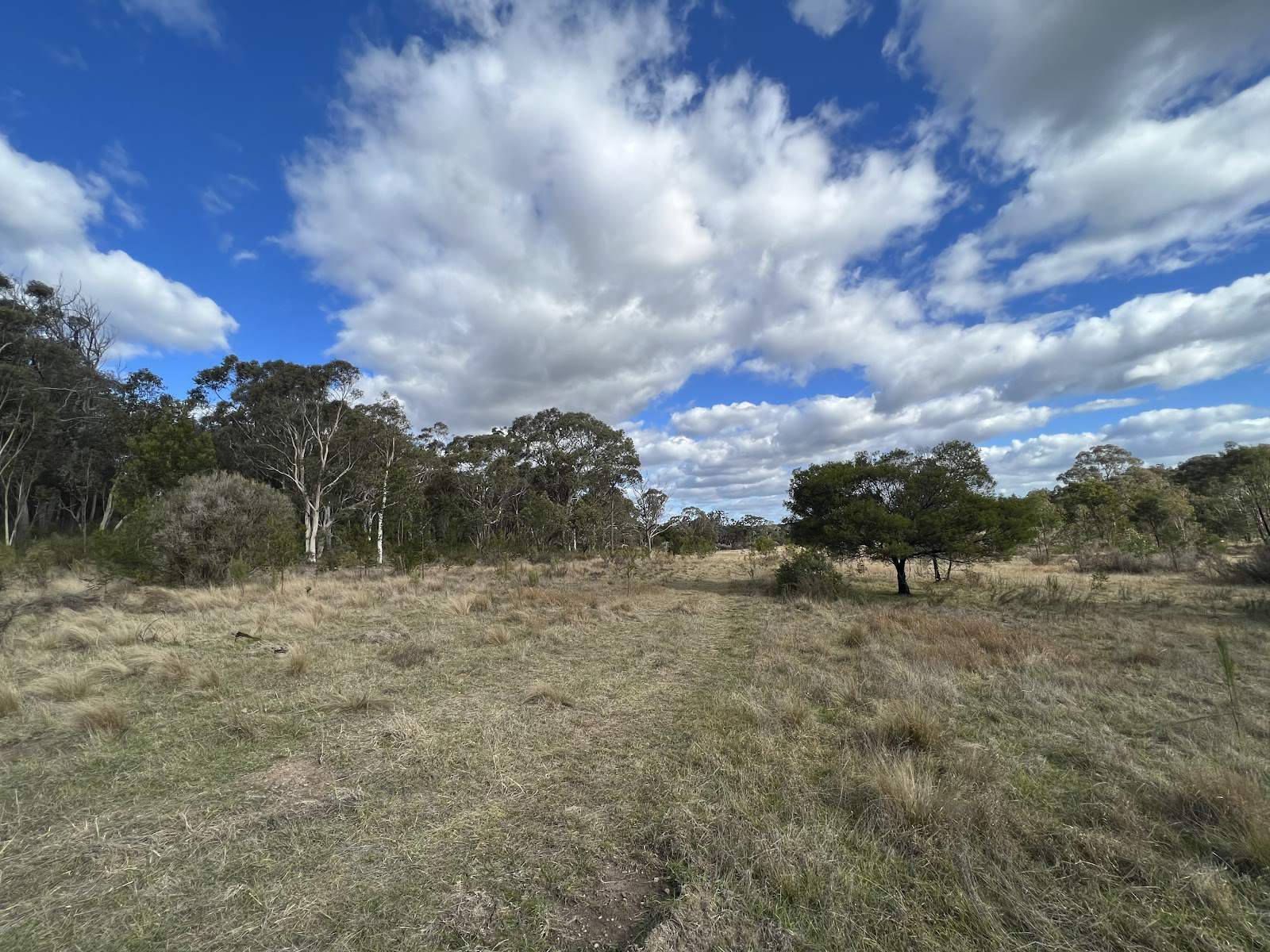 209/868 Jerrara Road, Marulan For Sale by Farmbuy.com - image 1