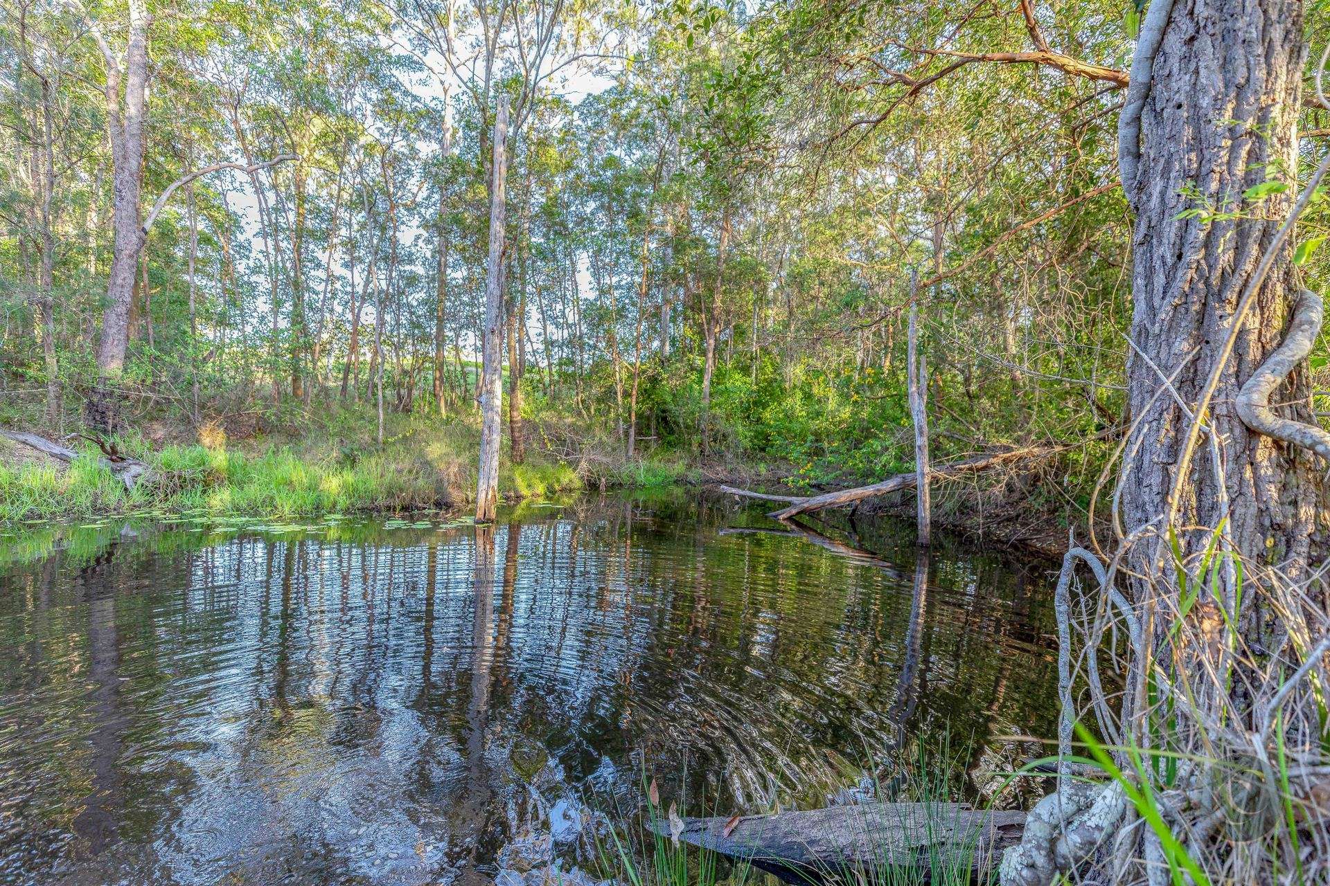 58 Lagoon Pocket Road, Lagoon Pocket For Sale by Farmbuy.com - image 28