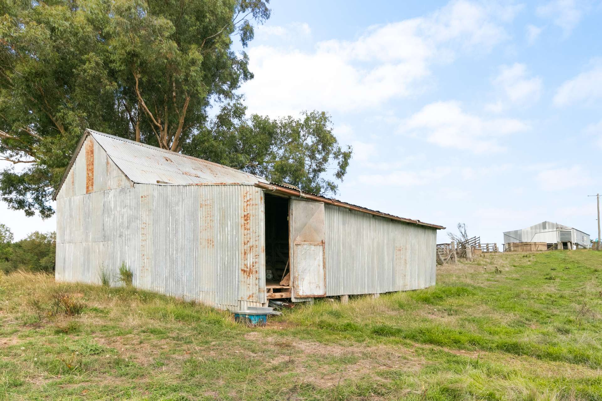 1911 Rugby Road, BEVANDALE, Gunning For Sale by Farmbuy.com - image 13