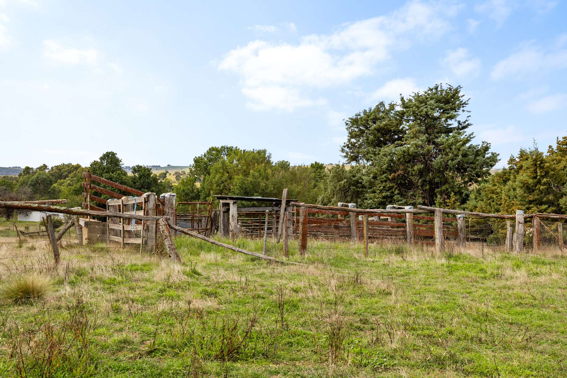 1911 Rugby Road, BEVANDALE, Gunning For Sale by Farmbuy.com - image 20