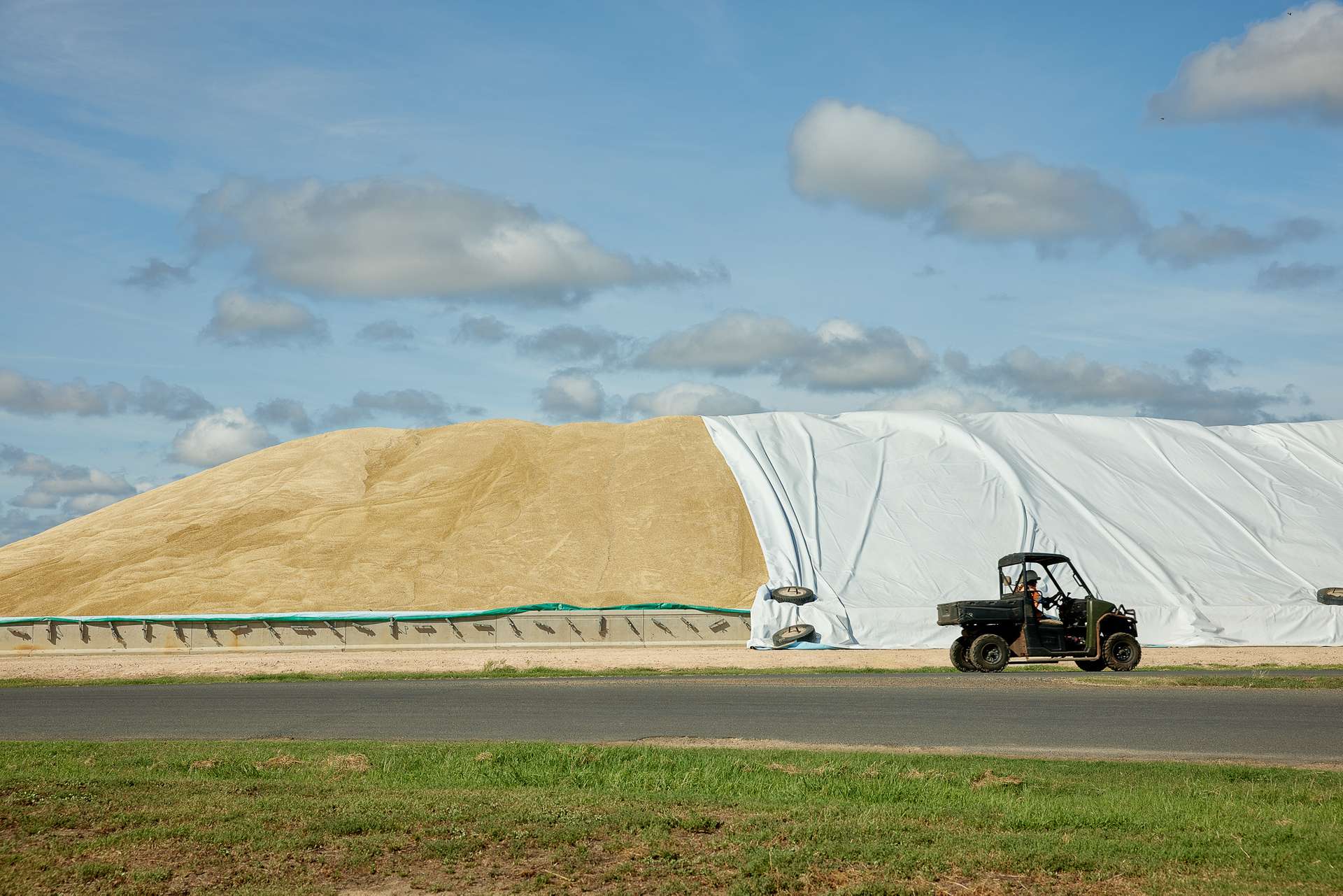 556 Grassdale Road, Grassdale For Sale by Farmbuy.com - image 20