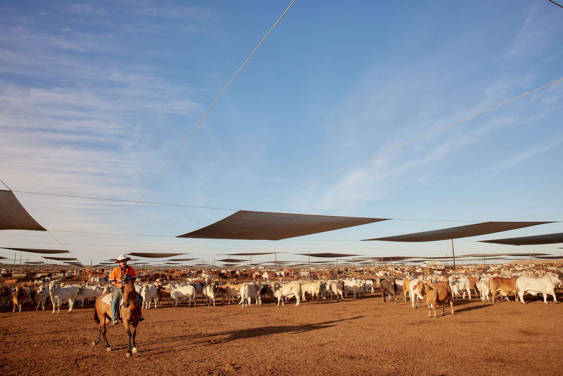 556 Grassdale Road, Grassdale For Sale by Farmbuy.com - image 6